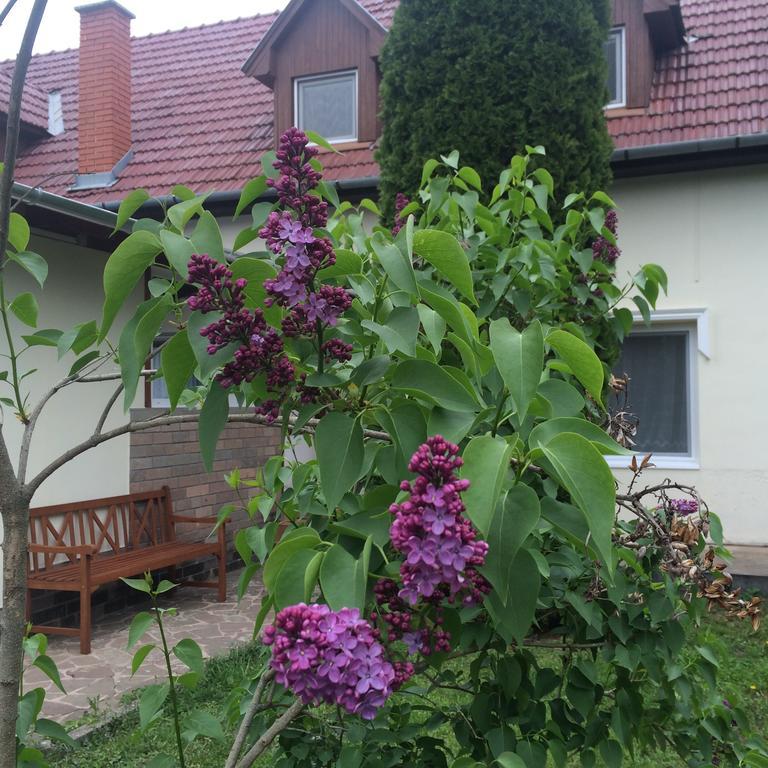 Apartmán Harmonia Panzio Bogács Exteriér fotografie